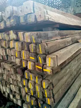 Kayu Besi Sulawesi