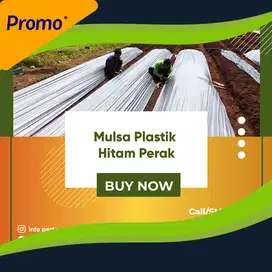 Mulsa Plastik Murah Untuk Tanaman di Kebun Anda