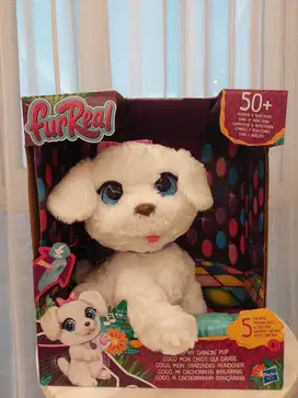 Furreal Gogo Mainan My dancin Pup F1971