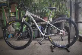 Specialized Rockhopper Competion 29