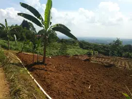 Tanah Murah di Sentul cocok untuk perumahan Subsidi, Clustur, & Villa.