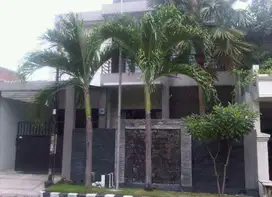disewakan rumah bagus siap huni  simpang darmo permai selatan
