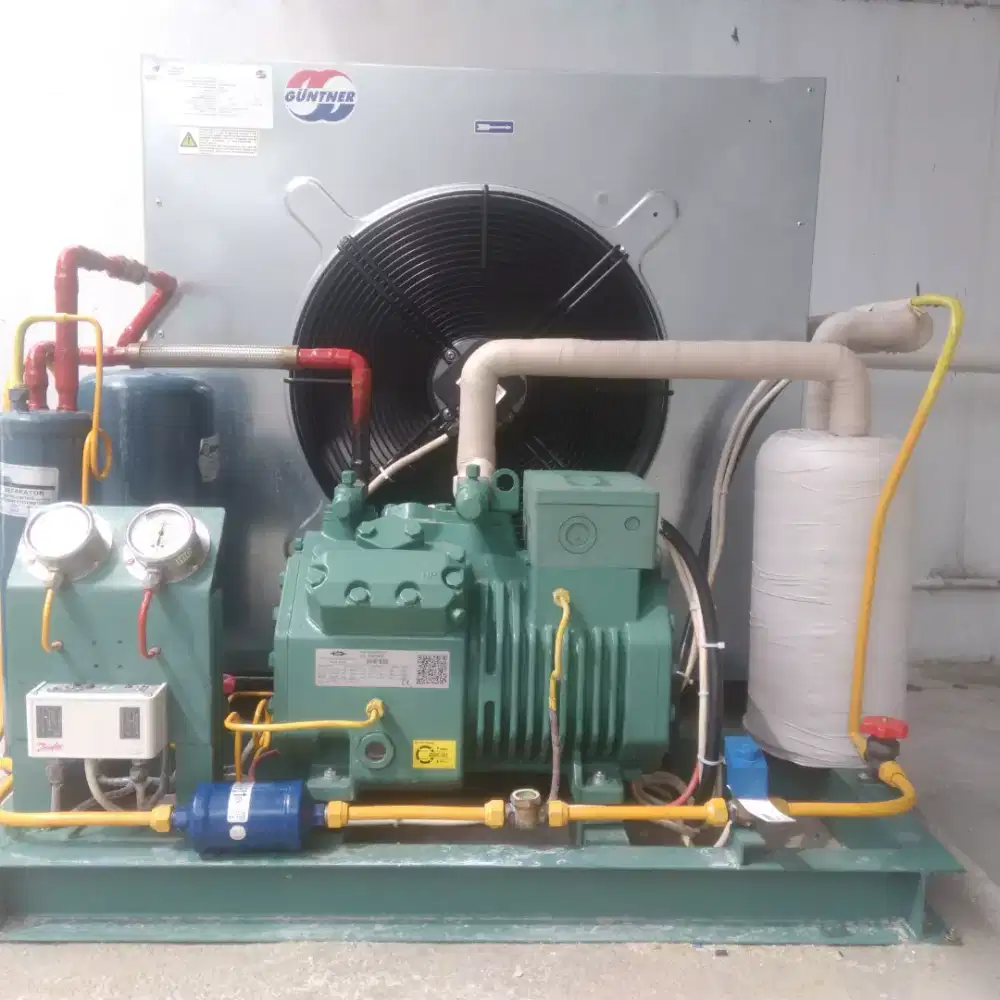 Cold storage freezer