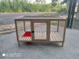 Kandang kucingg