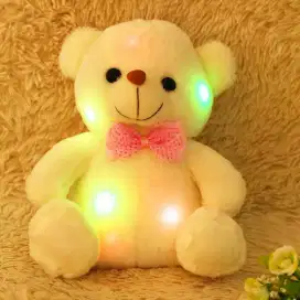 Boneka Bantal Dengan Lampu LED Lucu Imut Cantik