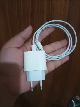 Charger iPhone 12 pro 20 watt