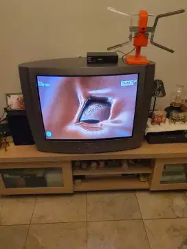 TV Philips 29 inch (TV Tabung)
