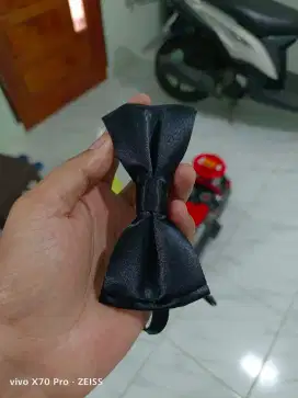 DASI KUPU-KUPU MATAHARI