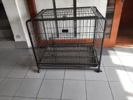 Kandang Anjing kucing