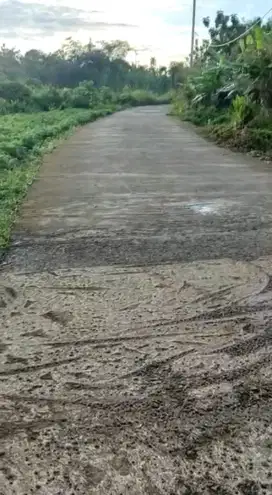 Jona ternak tanah datar view sangat bagus