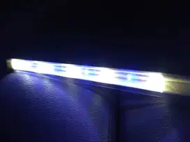 Lampu aquarium murah putih biru