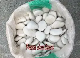 Batu koral putih dan hitam taman
