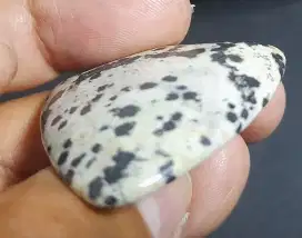 Batu gambar telur dinosaurus