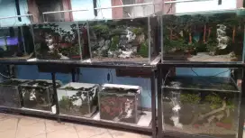 Design rescape water change aquascape