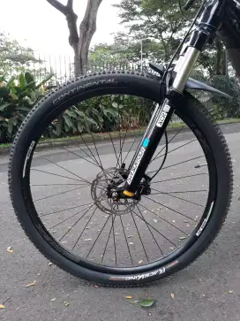 Polygon Xtrada 6 Size M 29er 2021