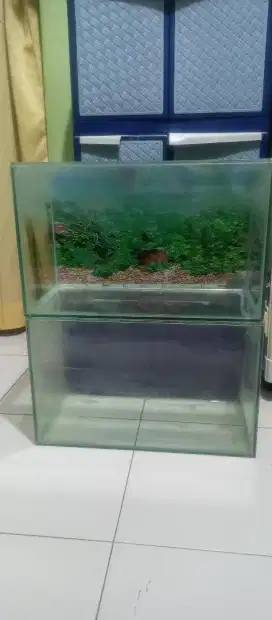 Aquarium 1 Buah