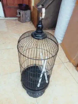 Sangkar burung kecil