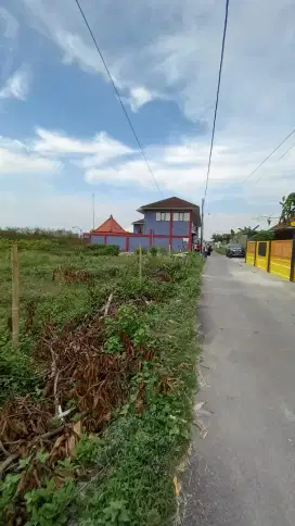 Dijual tanah SHM 310 m2 kabupaten rembang,bisa nego y guys