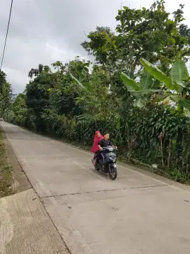 Tanah kebon Murah dekat Puncak Cianjur