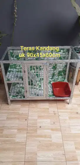 Kandang kucing persia 77