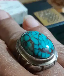 PIRUS MESIR Urat JALA Istimewa