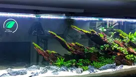 design tema aquascape tema hias hardscape natural iwagumi akuarium