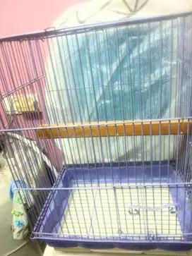 OBRAL SANGKAR HAMSTER, BURUNG