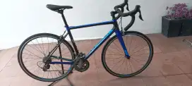 Sepeda Polygon Stratos S4