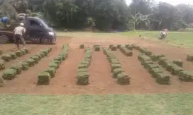 Toko Rumput dan taman