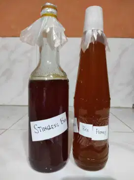 MADU Klanceng (Stingless Bee Honey)