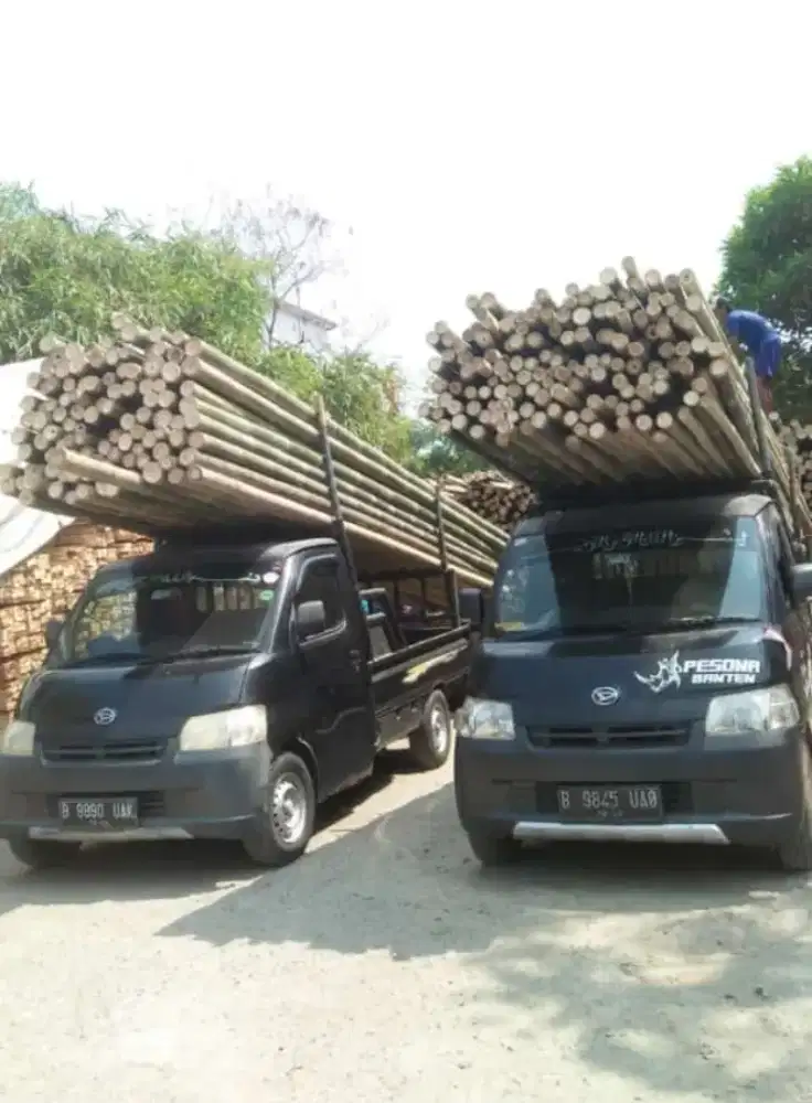 Jual bambu super