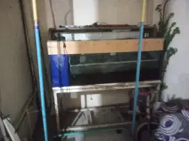 Akuarium 150*50*50 beserta rak