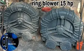 Ring blower italy