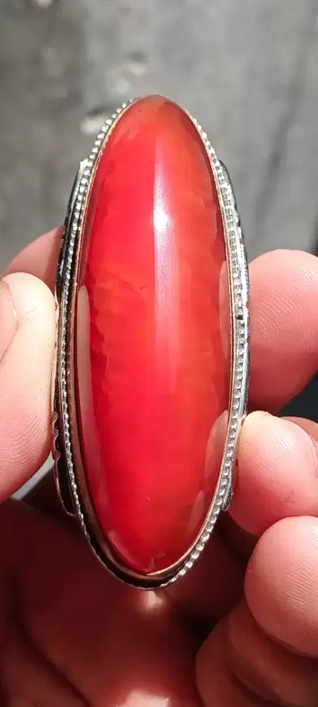 Pandan merah rudal ( 672217 )