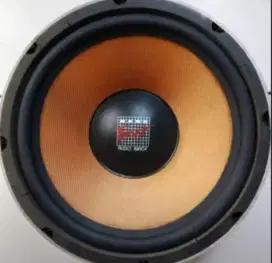 Speaker Audio Image 12 inch