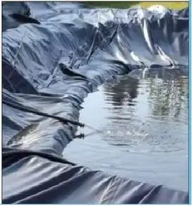 SEDIA PLASTIK PE HITAM/BENING LEBAR 2 METER ( 2 LAYER )