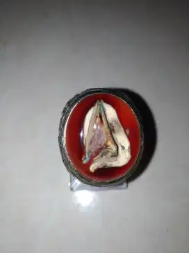Batu cempaka madu fosil kayu unik