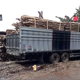 Jual dolken gelam jakarta