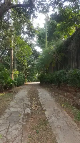 Tanah Strategis Murah Di Pejaten Jaksel Jarang Ada