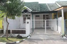 Sewa/Jual rumah Ibu Elly Cikarang, Jababeka