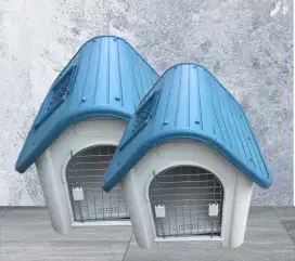 Rumah Dog Poodle
