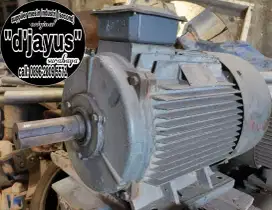 Dinamo 20 hp 8 pole