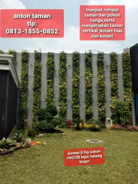 Tukang taman vertikal bogor