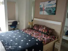 Menyewakan apartemen springwood bukan Tree pak City Cikokol