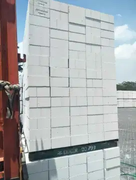 BATA RINGAN PALING MURAH SEJATIM