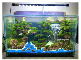 Aquascape hardamazon