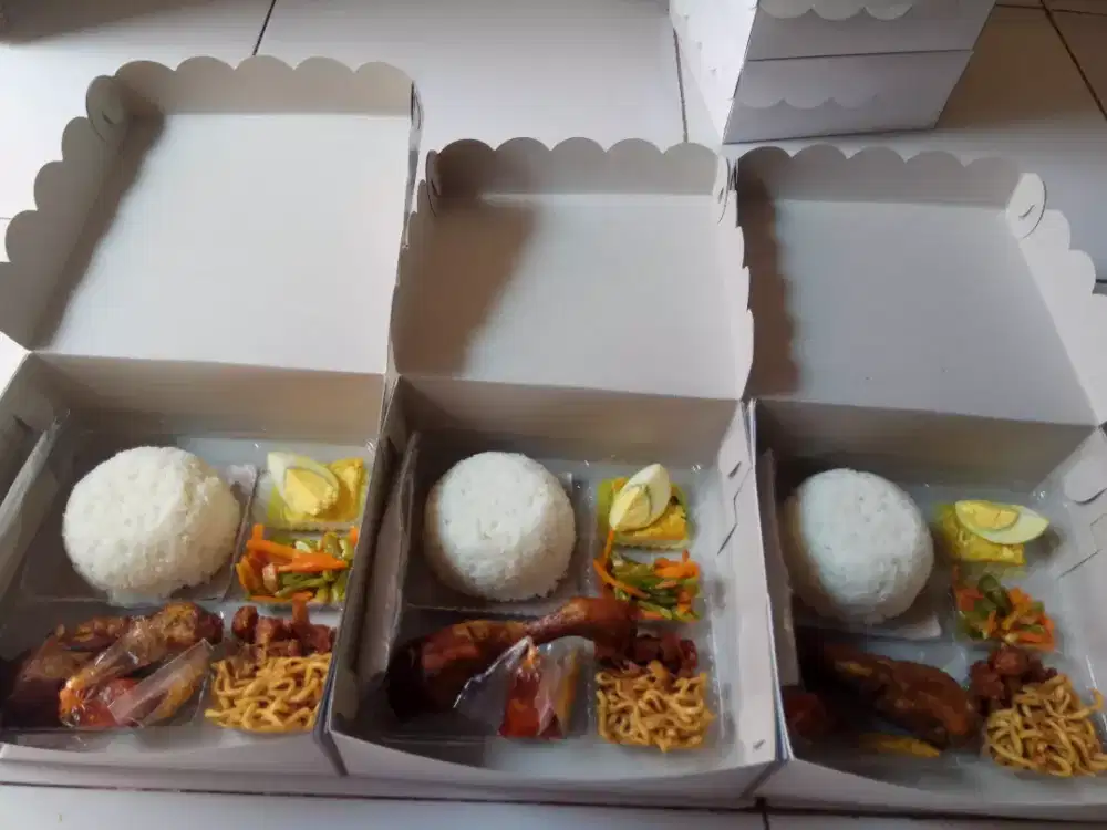 Nasi Kotak berbagai acara