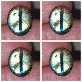 Cats Eye Labrador Kendit Antik