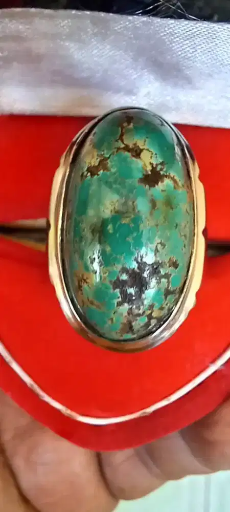 Pirus persia ijo
