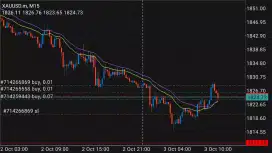 Kursus Kilat Trading Emas langsung Praktek langsung Profit